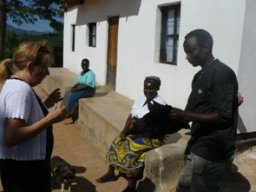 Kippenproject